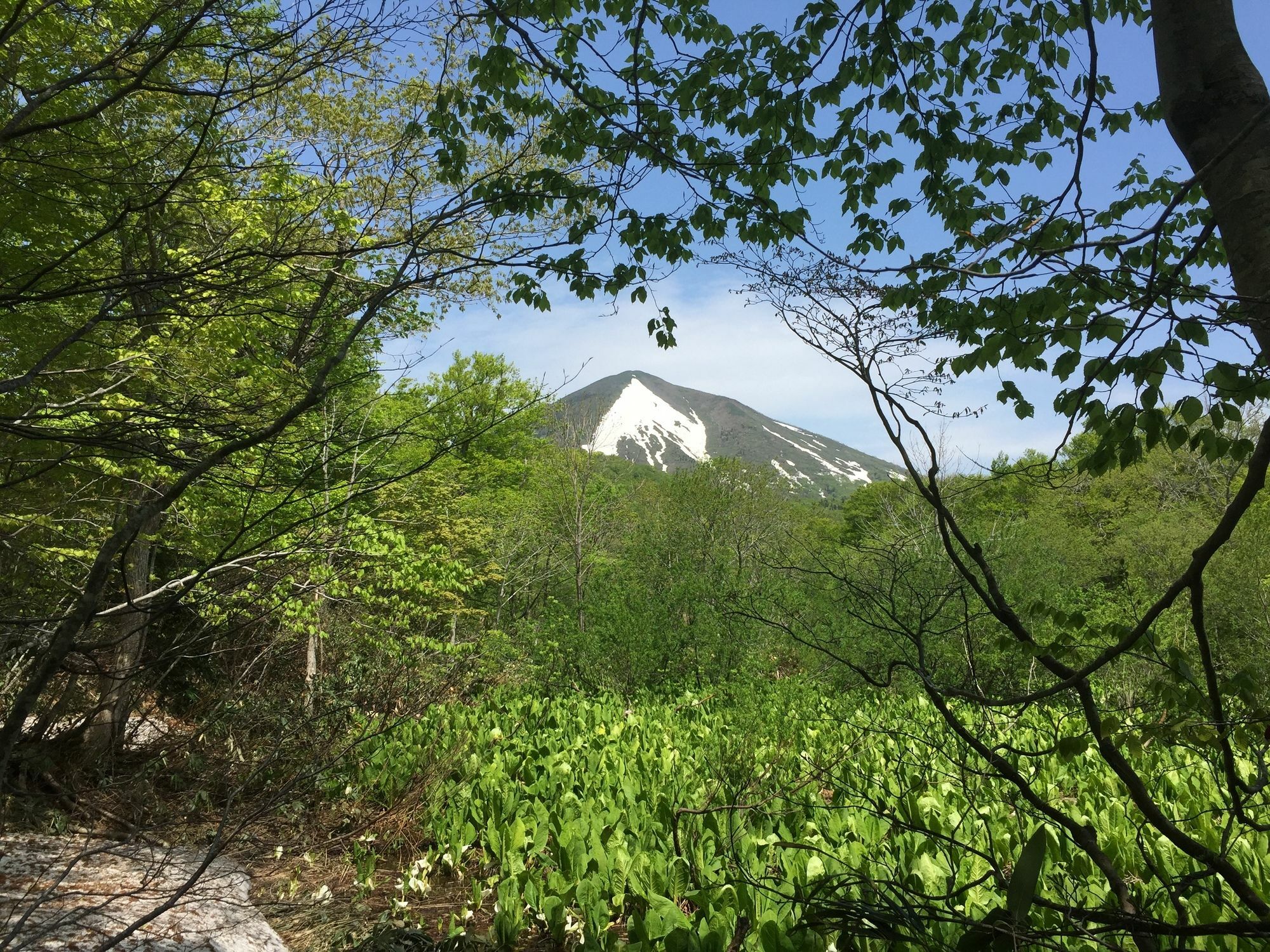 Yachi Onsen Hotel Towada Bagian luar foto